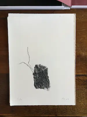 Armando - Der Baum, Signature VII, cassette met zes litho's kopen? Bied vanaf 400!