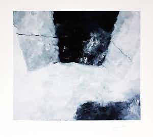 Armando - Das Fenster verkocht voor € 90!