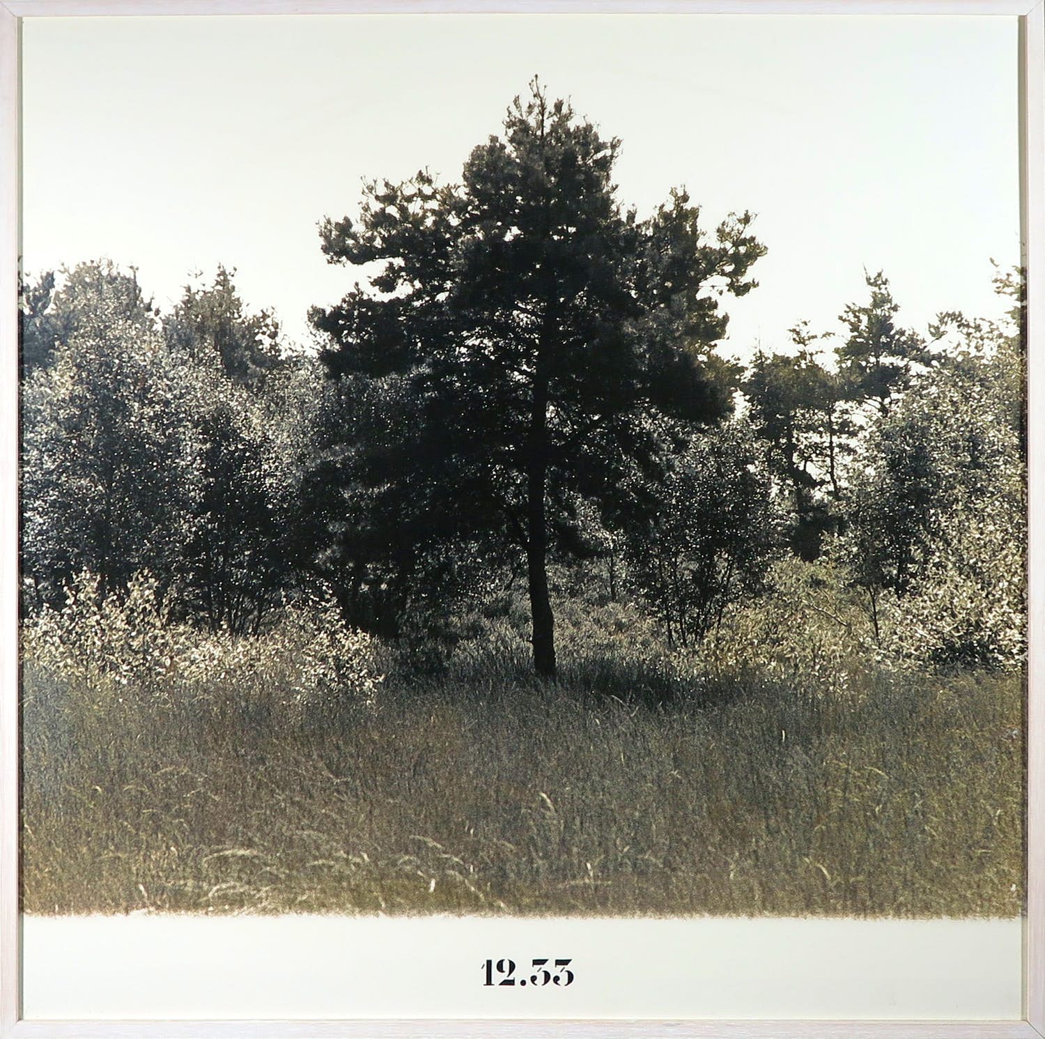 Hans Biezen - 12.33 - (groot!) kopen? Bied vanaf 40!