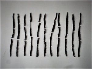 Katja Stam - Karakteristieke houtskool op papier "bamboe stokken" gesigneerd 1994 kopen? Bied vanaf 30!