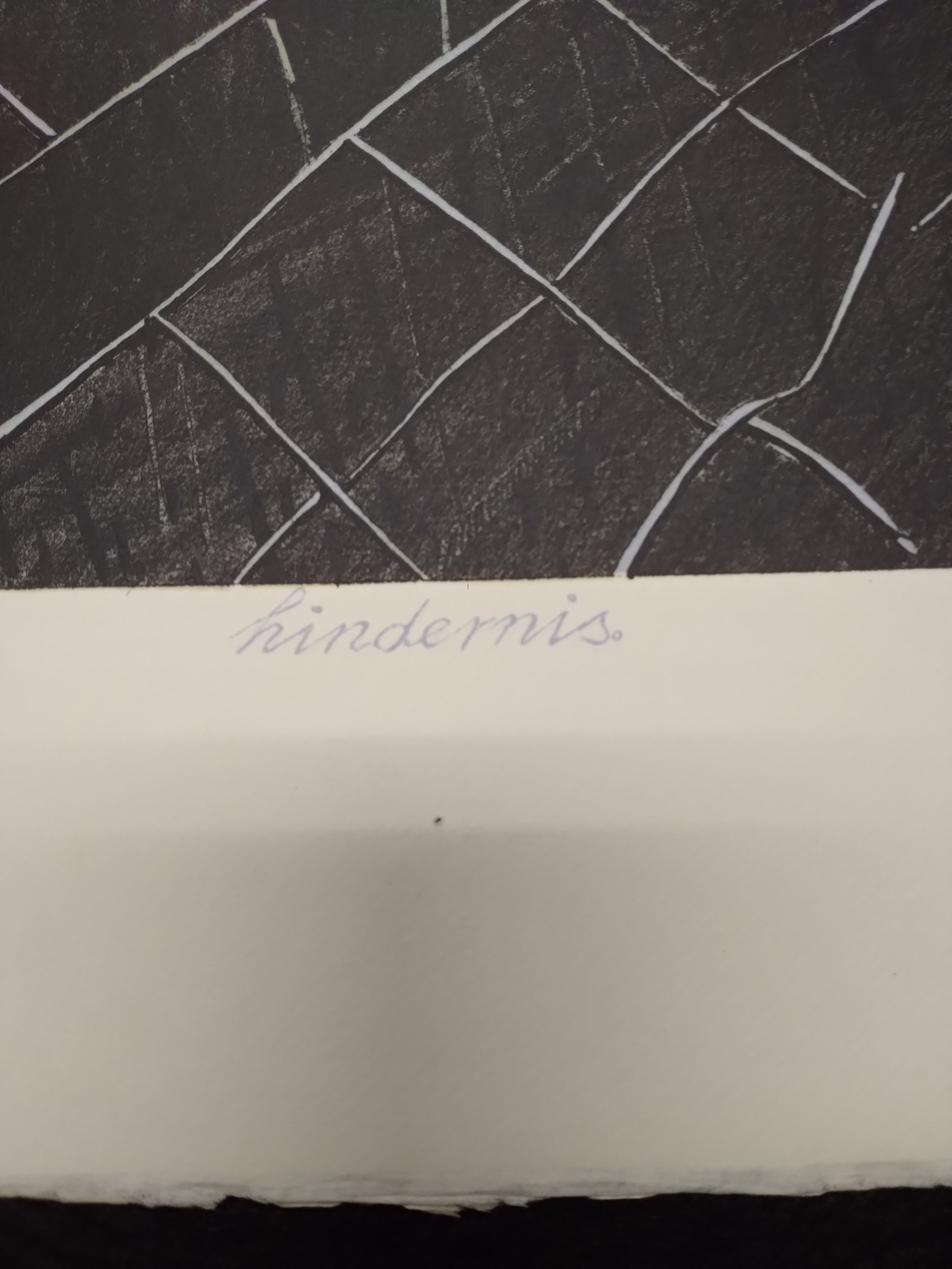 Wim Jonkman - Hindernis kopen? Bied vanaf 35!