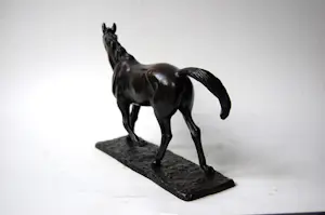 Irénée Rochard - Paard in draf kopen? Bied vanaf 2000!