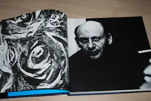 Theo Wolvecamp - 3 boeken: o.a. monumentale monografie kopen? Bied vanaf 50!