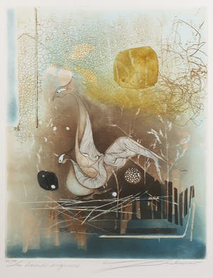 Renee Lubarow - Kleurenets, Les derniers seigneurs - Ingelijst kopen? Bied vanaf 50!