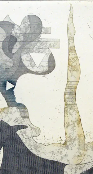 Dan Erceanu - Zaubervogel. kopen? Bied vanaf 39!