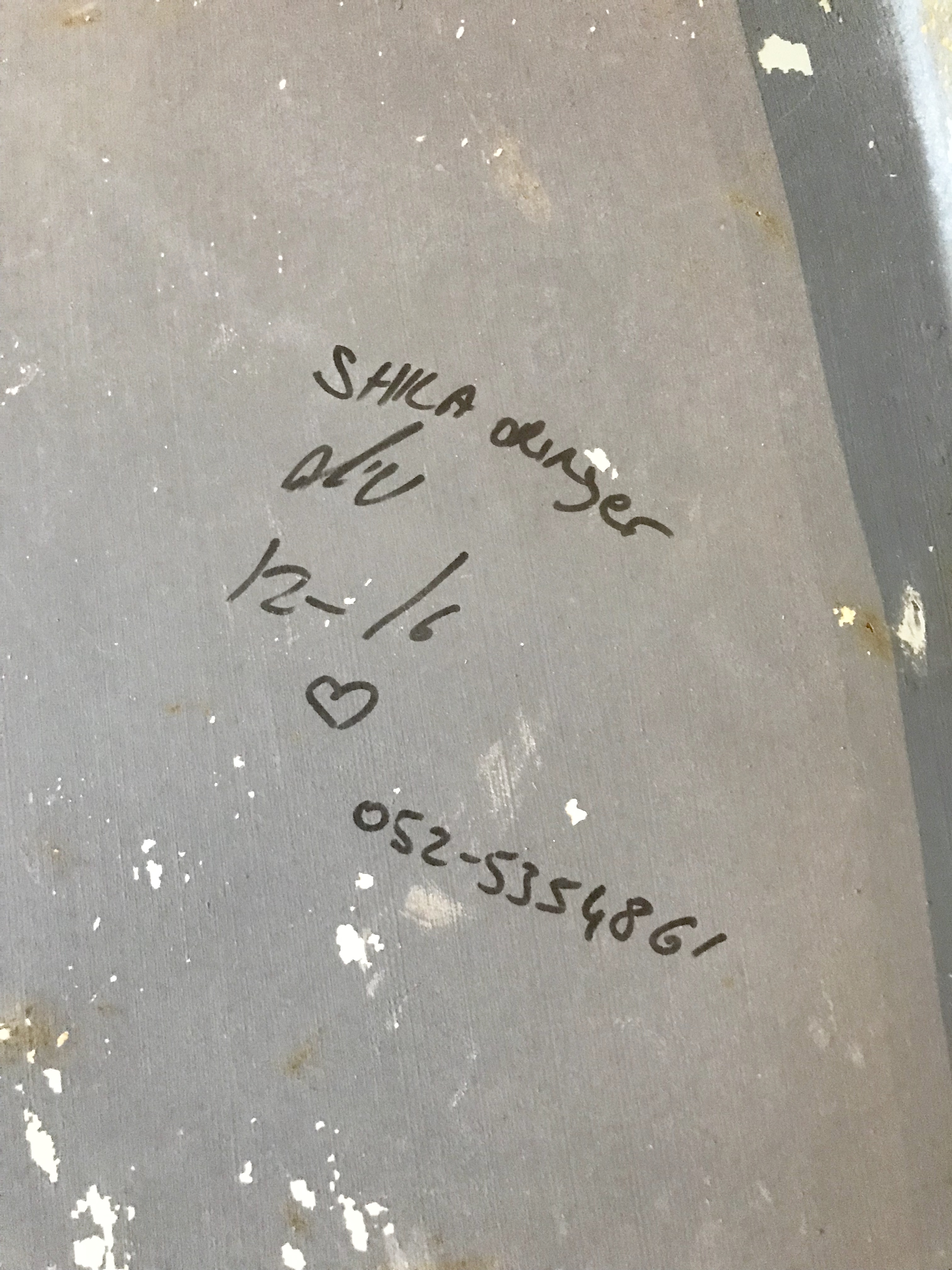 Shila Oringer - Flying High kopen? Bied vanaf 140!