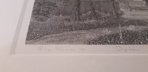 Philip Wiesman - Digitalis (Utrechtse Heuvelrug) kopen? Bied vanaf 150!