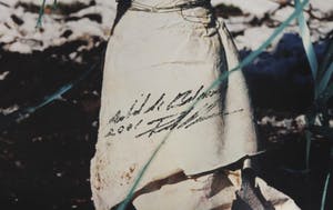 Paul Blanca - Zeer grote foto, Garbage Tree kopen? Bied vanaf 1!