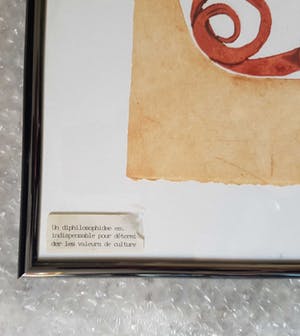 Reinhoud D'Haese - Les Valeurs de Culture kopen? Bied vanaf 195!