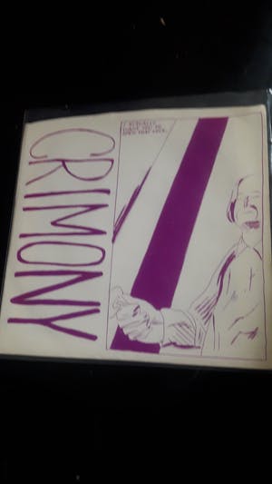 Raymond Pettibon - Lot van 2 singles- Sonic Youth, Crimony kopen? Bied vanaf 1!