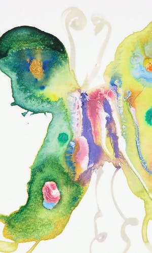 Marc Mulders - Aquarel, Vlinders kopen? Bied vanaf 1400!