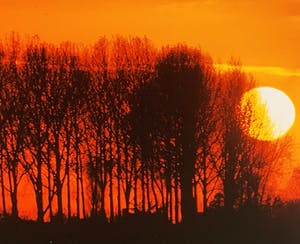 Paul Huf - C-print - 'Van Gogh's footsteps' - 1988 (INGELIJST) kopen? Bied vanaf 1!