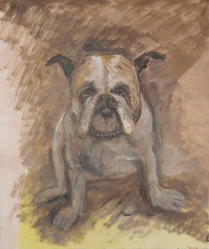Martin Reisberg - Acryl op doek, Portret van een hond / bulldog kopen? Bied vanaf 1!