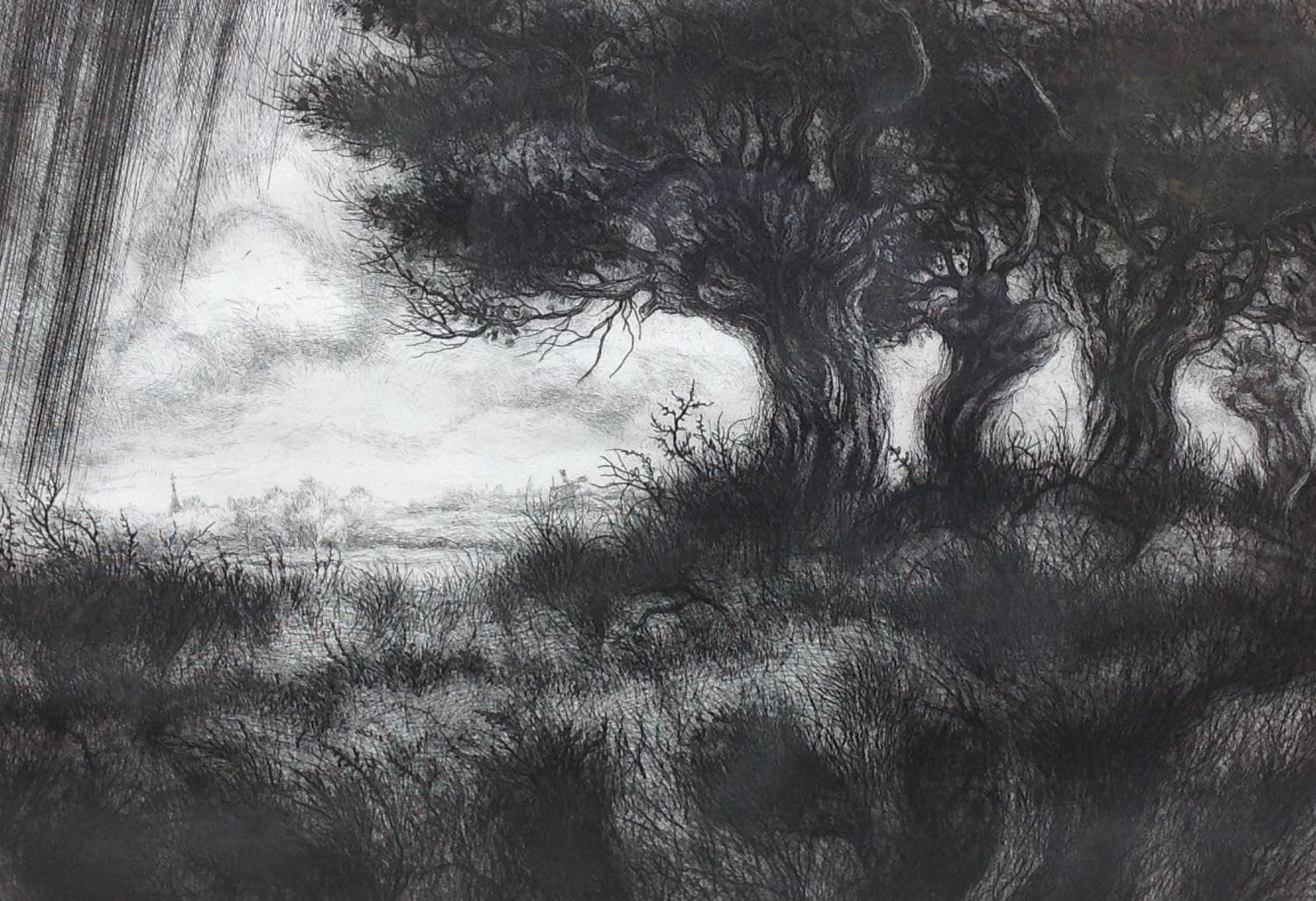 Jan Peter Dral (1959)