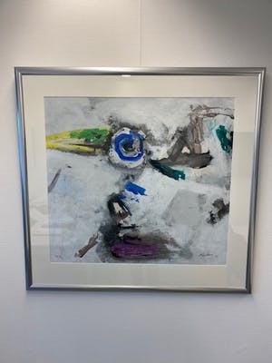 Nico Molenkamp - Vogel kopen? Bied vanaf 50!