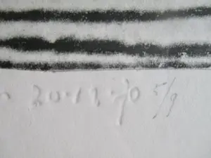 Geertjan van Oostende - Ingelijste ets "Het Begin" kopen? Bied vanaf 1!