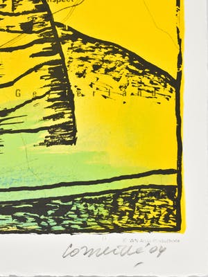 Corneille - Flevoland kopen? Bied vanaf 150!