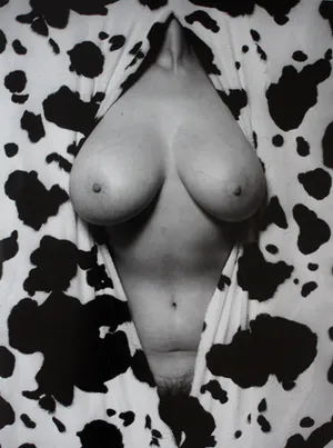 Erwin Olaf - Gelatine zilverdruk: Desire (Het Zuidelijk Toneel) - 1992 + 2 boeken kopen? Bied vanaf 999!