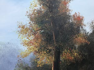 Niet of onleesbaar gesigneerd - Boom. kopen? Bied vanaf 1!