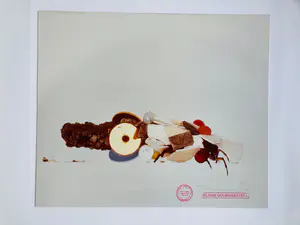 Felix van de Beek - kleine bouwmeesters ( Maastricht) kopen? Bied vanaf 45!