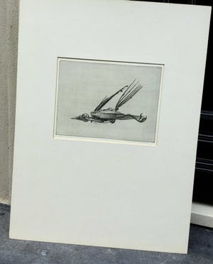 Dick Stolwijk - C3904-5 - Merel mummie kopen? Bied vanaf 100!