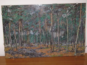 Beint Mankes - Bosgezicht kopen? Bied vanaf 195!