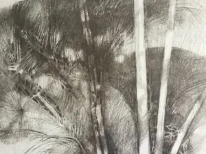 Ab Jongmans - Palm | grote litho - ingelijst kopen? Bied vanaf 39!