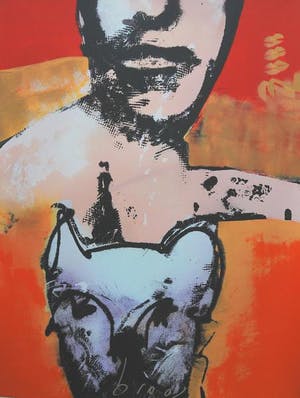 Herman Brood - Kleurenzeefdruk MAN met HOND Handgesigneerd---GROOT!!!! kopen? Bied vanaf 1!