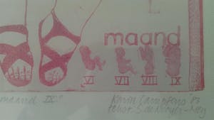Karin Campfens - maand IX kopen? Bied vanaf 35!