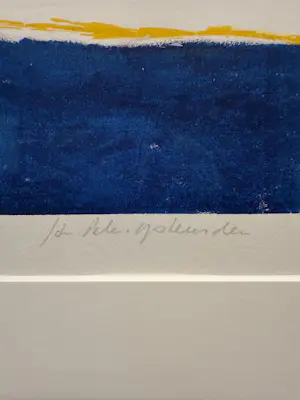 Jan Peter van Opheusden - Winter kopen? Bied vanaf 50!