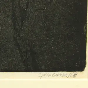 Sjoerd Bakker - Portret kopen? Bied vanaf 50!