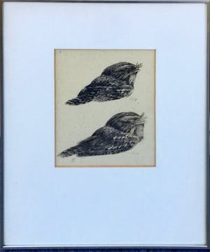 Peter Vos - C3616 - Twee bosuiltjes kopen? Bied vanaf 150!