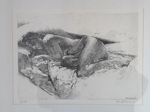 Raf Coorevits - Slapend naakt. kopen? Bied vanaf 45!