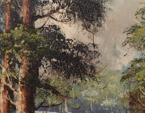 Niet of onleesbaar gesigneerd - Olieverf op doek, Landschap met bomen en water kopen? Bied vanaf 1!