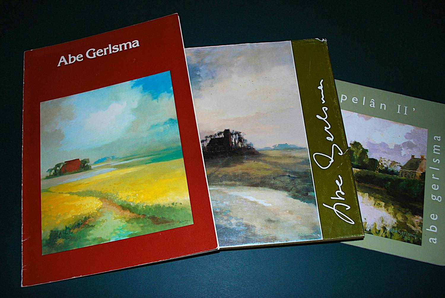 Abe Gerlsma - (schaarse) biografie & 2 gidsen kopen? Bied vanaf 95!