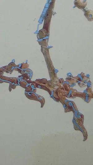 Panamarenko - Archaeopterix kopen? Bied vanaf 400!