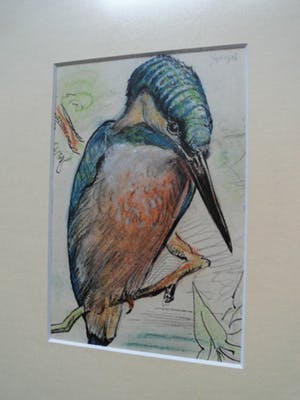 Buy Willem De Pauw - Gemengde Techniek - Vogels? Bid from 35!