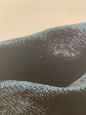 Jean Ruiter - _zonder titel kopen? Bied vanaf 395!