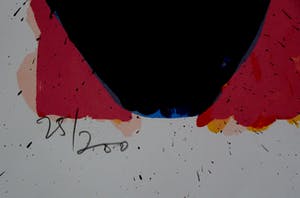 Jan Cremer - Kleurrijke zeefdruk - 1996 kopen? Bied vanaf 199!