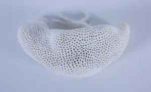 Kathja Smits - Porselein, Papegaai kopen? Bied vanaf 100!