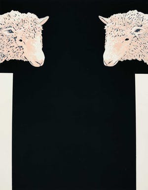 Marita Staf - Schapen kopen? Bied vanaf 1!