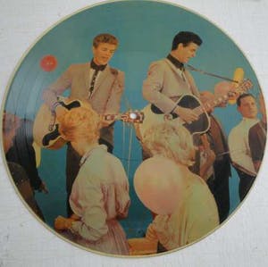 The Everly Brothers - Heartaches 'n' Harmonies - Picturedisc kopen? Bied vanaf 10!