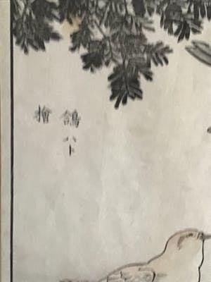 Niet of onleesbaar gesigneerd - Twee Chinese schilderijen met vogels kopen? Bied vanaf 10!