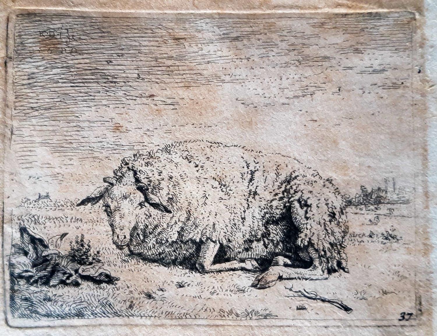 Karel Dujardin - Schaap in weide verkocht voor € 20!