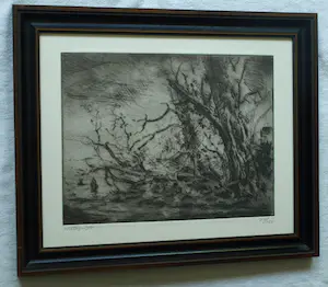 Wim Steijn - Ingelijste ets , Bos bij Haarlem – 1974 – Lijst, 37½ x 45½ cm. kopen? Bied vanaf 60!