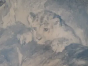 Cornelis Jan Mension - Leeuwin met welpen. kopen? Bied vanaf 30!