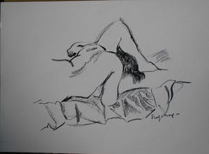 Freek van den Berg - lesbische litho erotiek kopen? Bied vanaf 10!