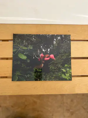 Anne de Vries - Metafiction kopen? Bied vanaf 70!