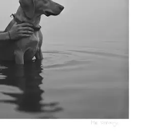 Mr Strange - Vrienden voor het leven kopen? Bied vanaf 75!