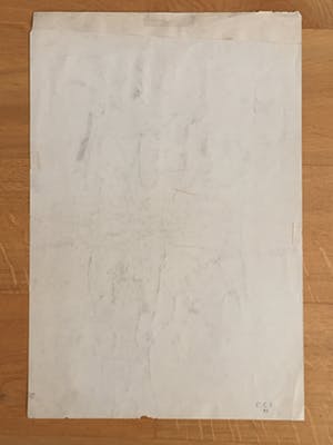 Engelien Reitsma-Valenca - Acht tekeningen van dieren in potlood of zwart krijt kopen? Bied vanaf 50!